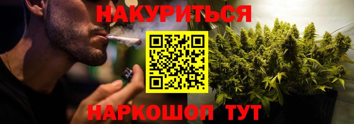 Бошки марихуана конопля Гурьевск